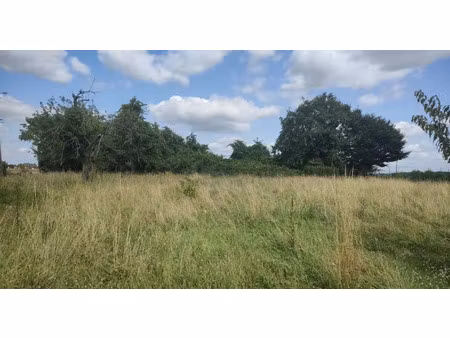vente terrain 1702 m² à vallentigny (10500)  21 000 €