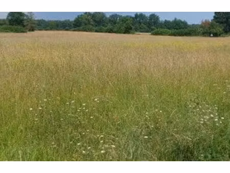 vente terrain 578 m² à vendeuvre-du-poitou (86380)  34 860 €