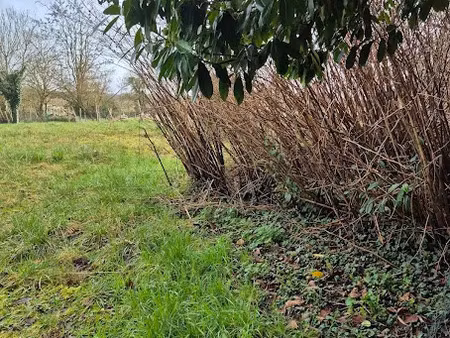 vente terrain 550 m² à vouthon (16220)  10 000 €