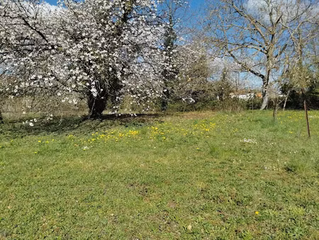 vente terrain 619 m² à bellenaves (03330)  18 500 €