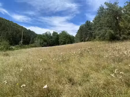 vente terrain 1814 m² à castels (24220)  28 000 €