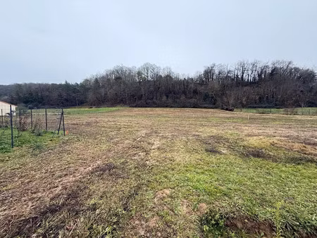 vente terrain 890 m² à castels (24220)  38 000 €
