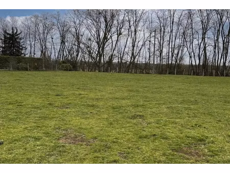 vente terrain 1538 m² à chassenard (03510)  18 900 €