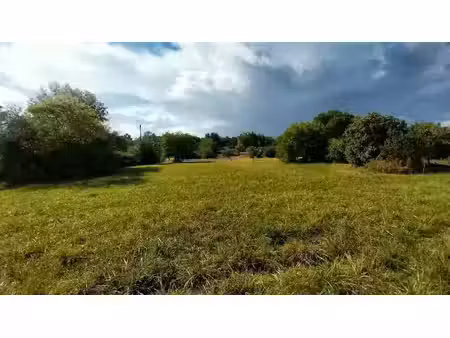 vente terrain 2300 m² à château-l'evêque (24460)  35 000 €