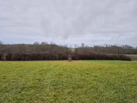 vente terrain 2741 m² à genac (16170)  29 000 €
