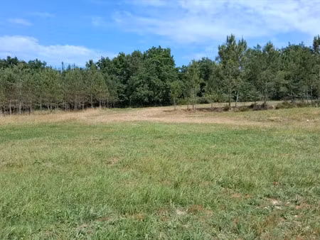 vente terrain 3605 m² à les lèches (24400)  29 000 €