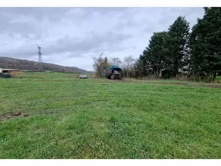 vente terrain 1000 m² à les loges-margueron (10210)  17 000 €
