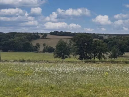 vente terrain 2121 m² à molinet (03510)  20 000 €