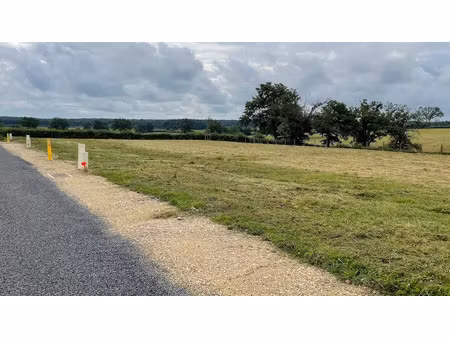 vente terrain 776 m² à palinges (71430)  19 556 €