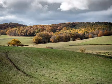 vente terrain 699 m² à pezou (41100)  32 000 €