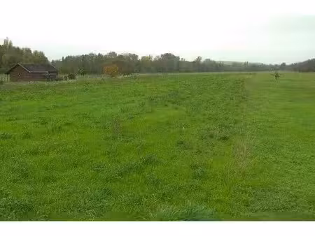 vente terrain 953 m² à pleumartin (86450)  17 154 €
