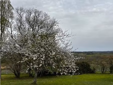 vente terrain 4232 m² à prats-de-carlux (24370)  40 000 €