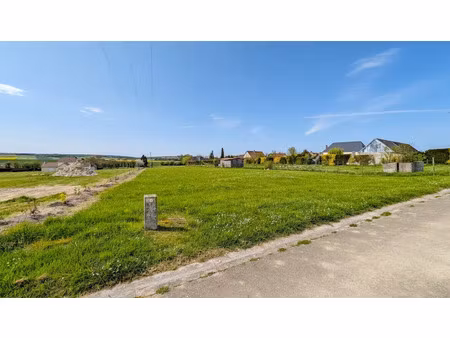 vente terrain 1192 m² à reuves (51120)  26 500 €