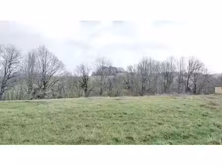 vente terrain 2000 m² à saint-pierre-de-chignac (24330)  20 000 €