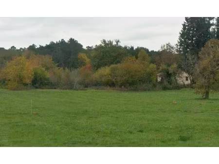 vente terrain 1438 m² à savignac-les-eglises (24420)  26 000 €