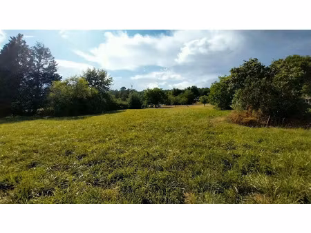 vente terrain 2000 m² à château-l'evêque (24460)  35 000 €