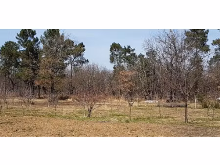 vente terrain 1700 m² à montrem (24110)  29 000 €