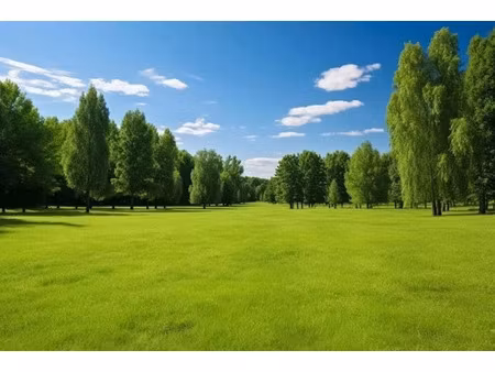 vente terrain 1000 m² à mur-de-sologne (41230)  35 000 €