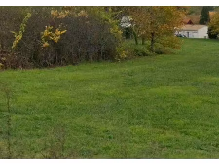 vente terrain 1436 m² à savignac-les-eglises (24420)  27 000 €