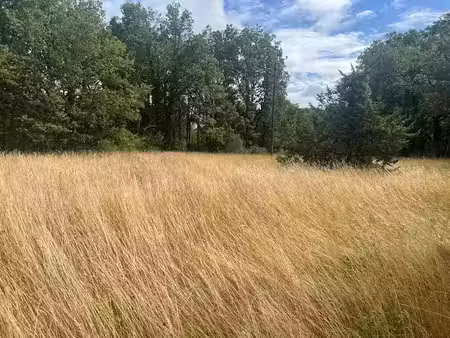 vente terrain 2424 m² à souillac (46200)  29 100 €