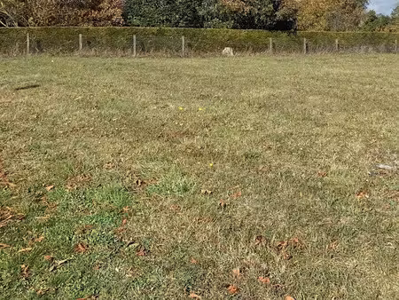 vente terrain 512 m² à vendeuvre-du-poitou (86380)  31 036 €