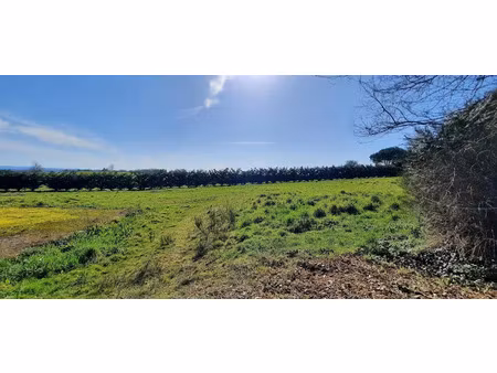 vente terrain 1525 m² à chabrignac (19350)  16 000 €