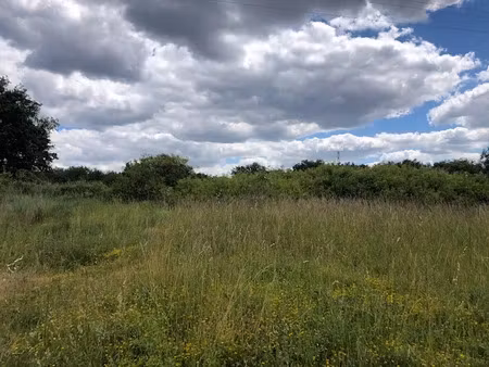 vente terrain 390 m² à chacé (49400)  25 000 €