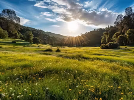 vente terrain 1500 m² à chanteix (19330)  23 000 €
