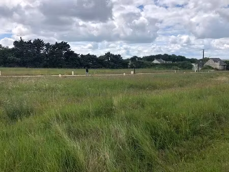 vente terrain 549 m² à souzay-champigny (49400)  35 000 €