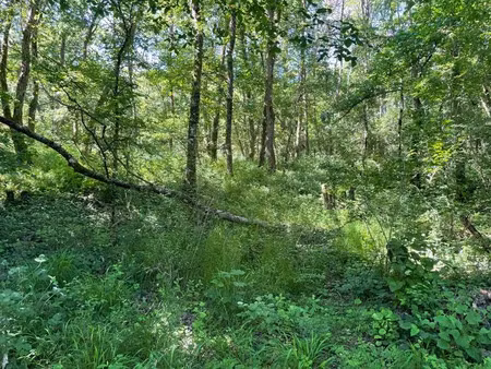 vente terrain 10988 m² à montrichard (41400)  35 000 €