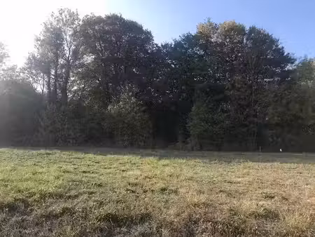vente terrain 1684 m² à neuvy (51310)  38 000 €
