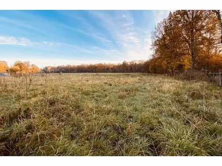 vente terrain 1646 m² à le meix-saint-epoing (51120)  35 000 €