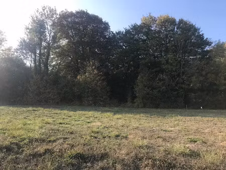 vente terrain 1684 m² à neuvy (51310)  38 000 €