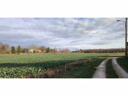 vente terrain 900 m² à saint-aubin (10400)  40 000 €