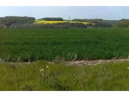 vente terrain 561 m² à semur-en-auxois (21140)  39 270 €