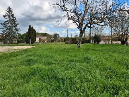 vente terrain 1000 m² à barbezieux-saint-hilaire (16300)  45 000 €
