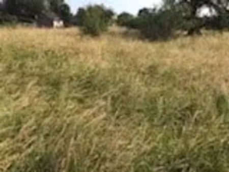 vente terrain 850 m² à fère-en-tardenois (02130)  42 000 €