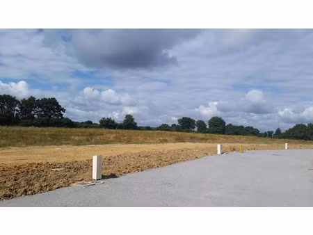 vente terrain 451 m² à naintre (86530)  44 985 €
