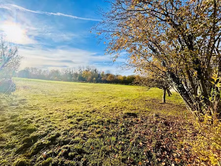 vente terrain 2087 m² à neuvy (51310)  45 000 €
