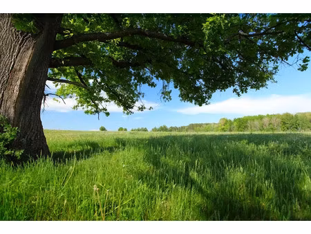 vente terrain 426 m² à jaulgonne (02850)  45 000 €