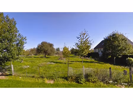 vente terrain 3469 m² à la forestière (51120)  43 600 €