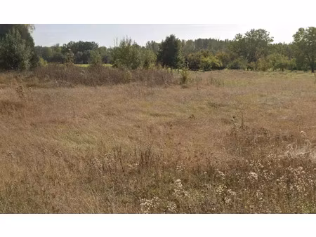 vente terrain 800 m² à renève (21310)  44 000 €