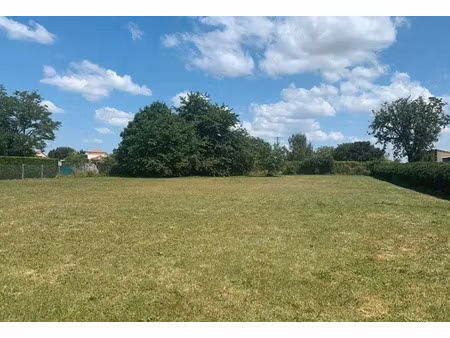 vente terrain 1450 m² à availles-en-châtellerault (86530)  60 000 €