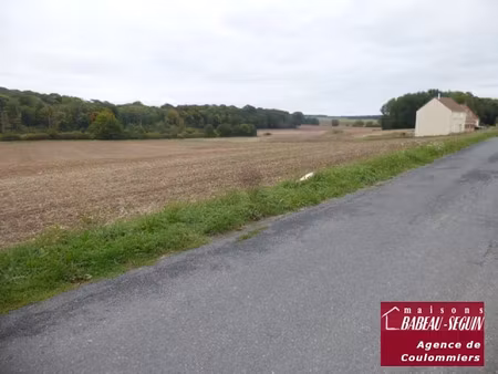 vente terrain 556 m² à beton-bazoches (77320)  56 000 €