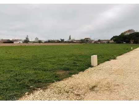 vente terrain 1000 m² à bords (17430)  66 500 €