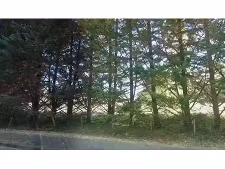 vente terrain 1130 m² à boulazac (24750)  68 000 €