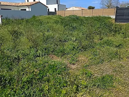 vente terrain 498 m² à ciré-d'aunis (17290)  78 000 €
