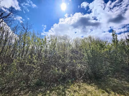 vente terrain 1000 m² à marsac-sur-l'isle (24430)  55 000 €