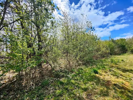 vente terrain 1100 m² à marsac-sur-l'isle (24430)  55 000 €