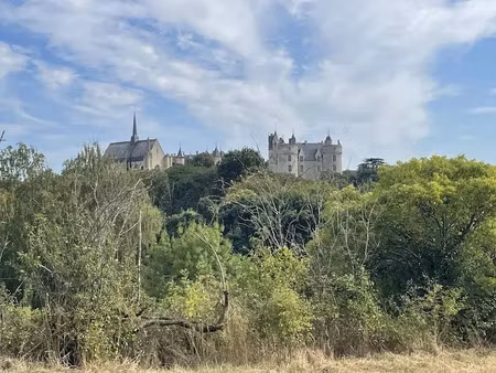 vente terrain 658 m² à montreuil-bellay (49260)  66 000 €